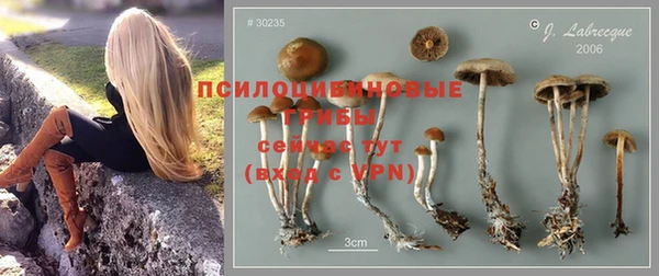 кокс Магас