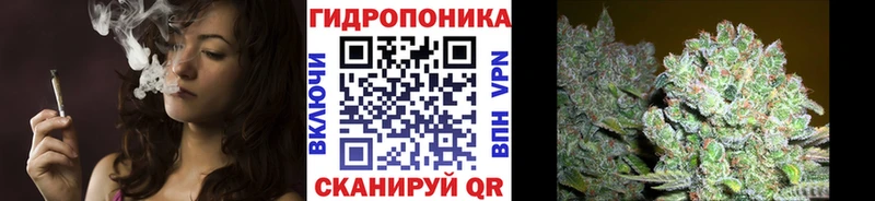 где купить   Староминская  Каннабис семена 